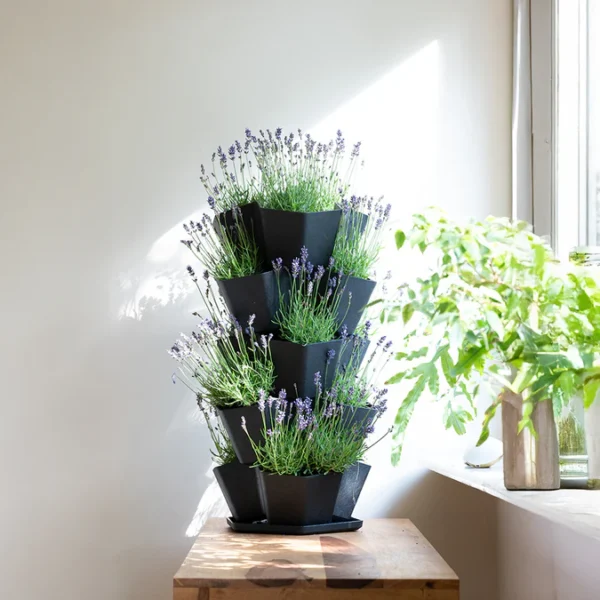 Garden Central Multy Home 5-Tier Stackable Planter