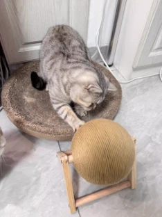 Cat Scratching Ball with Stand - Image 2