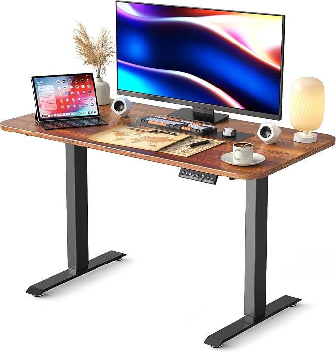 48 x 24-inch (120 x 60 cm) Desktop Dual Motors Electric Height Adjustable Memory Standing Desk