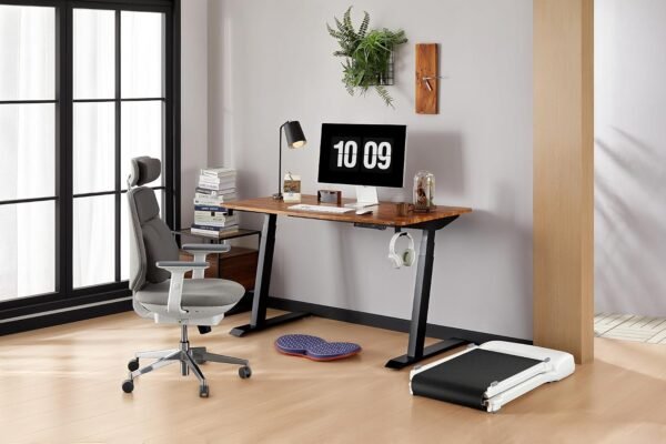48x24 Inches (120x60cm)Dual Motors Height Adjustable  Desk 