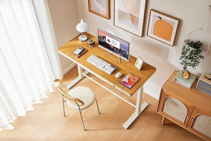 55x24 Inches (140x60cm) Electric Standing Desk with Drawer - Image 5